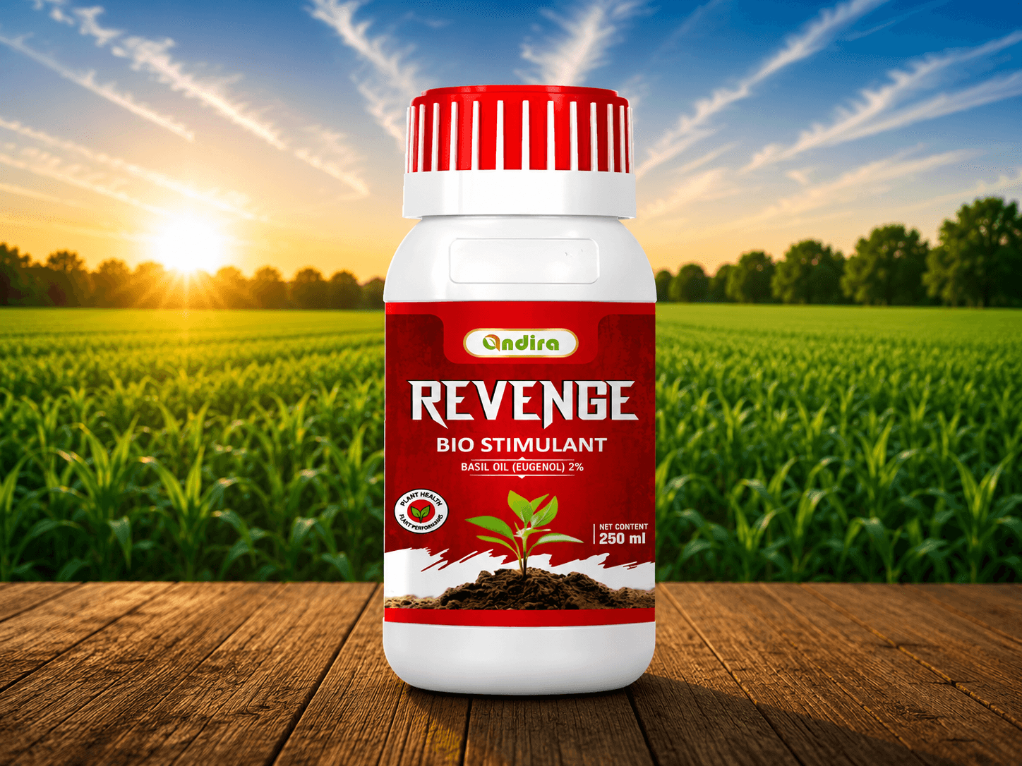 Revenge