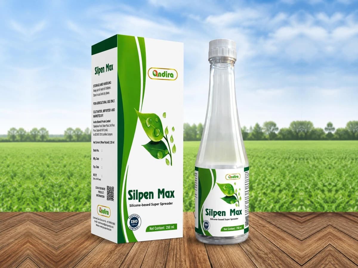 Silpen Max
